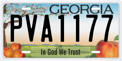 GA license plate PVA1177