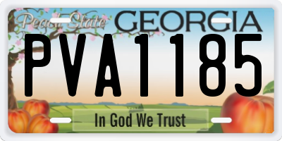 GA license plate PVA1185