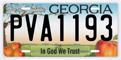 GA license plate PVA1193