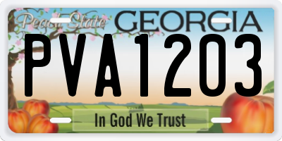 GA license plate PVA1203