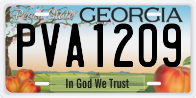 GA license plate PVA1209