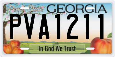 GA license plate PVA1211