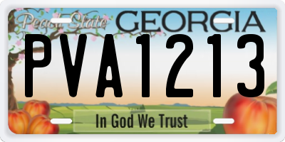 GA license plate PVA1213