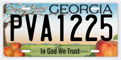 GA license plate PVA1225