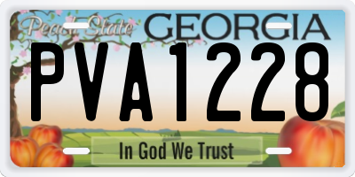 GA license plate PVA1228