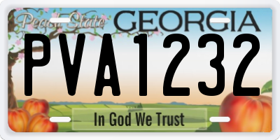 GA license plate PVA1232