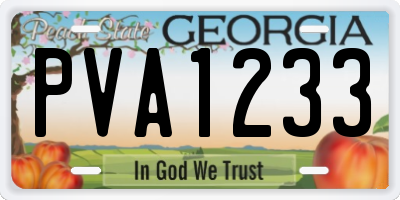 GA license plate PVA1233