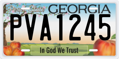 GA license plate PVA1245