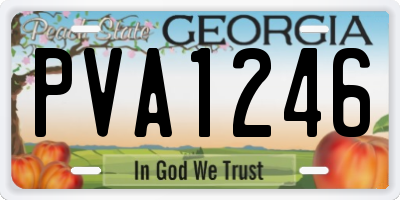GA license plate PVA1246
