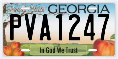 GA license plate PVA1247
