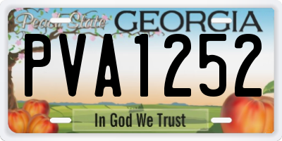 GA license plate PVA1252