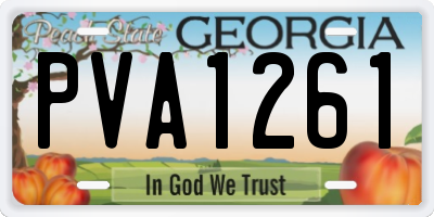GA license plate PVA1261