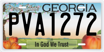 GA license plate PVA1272