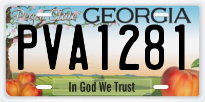 GA license plate PVA1281