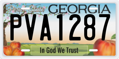 GA license plate PVA1287