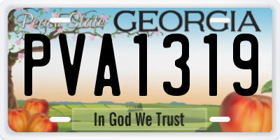 GA license plate PVA1319