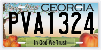 GA license plate PVA1324