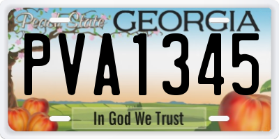 GA license plate PVA1345