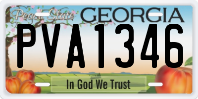 GA license plate PVA1346