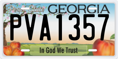 GA license plate PVA1357