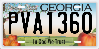 GA license plate PVA1360