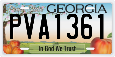 GA license plate PVA1361