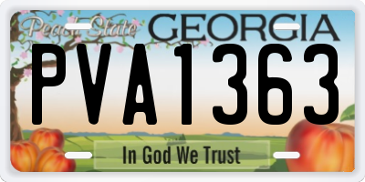 GA license plate PVA1363