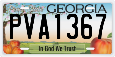 GA license plate PVA1367