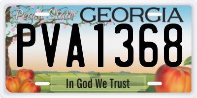 GA license plate PVA1368