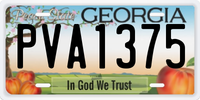 GA license plate PVA1375