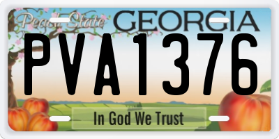 GA license plate PVA1376
