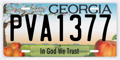 GA license plate PVA1377