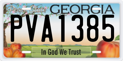 GA license plate PVA1385