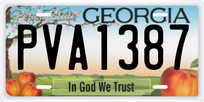 GA license plate PVA1387