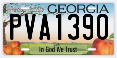 GA license plate PVA1390