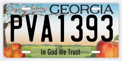 GA license plate PVA1393