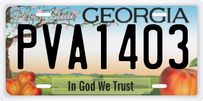 GA license plate PVA1403