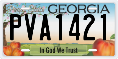 GA license plate PVA1421
