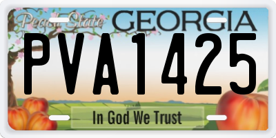 GA license plate PVA1425