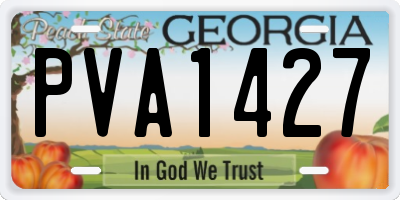 GA license plate PVA1427