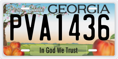 GA license plate PVA1436