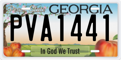 GA license plate PVA1441