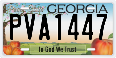 GA license plate PVA1447