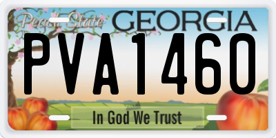 GA license plate PVA1460