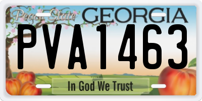 GA license plate PVA1463