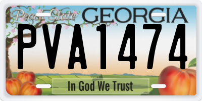 GA license plate PVA1474