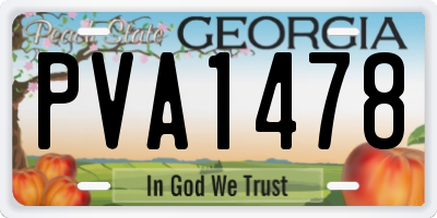 GA license plate PVA1478
