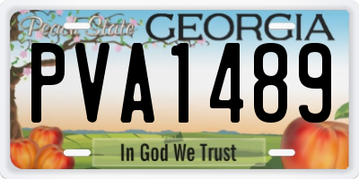 GA license plate PVA1489