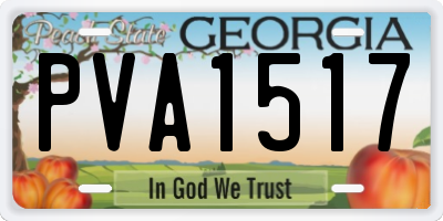 GA license plate PVA1517