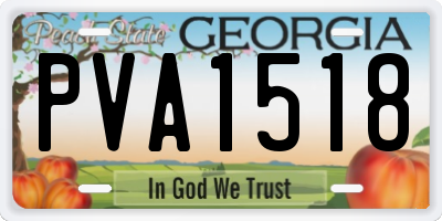 GA license plate PVA1518